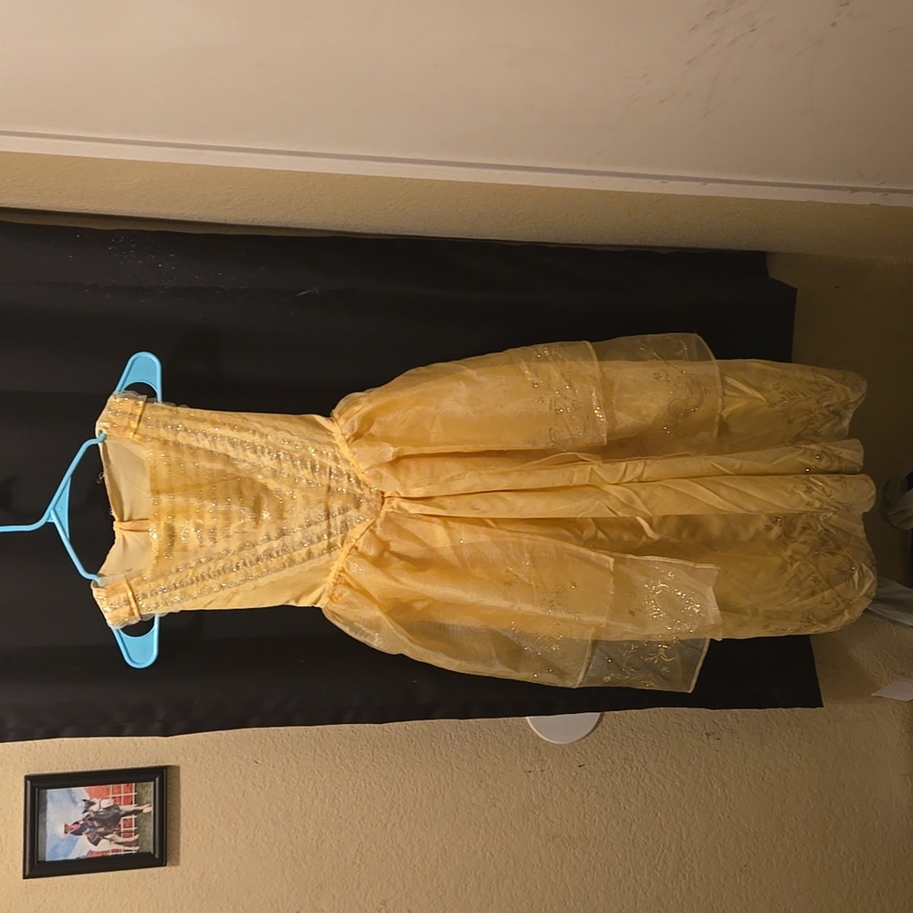 Disney Belle Dress Up